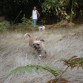 de paseo en el campo